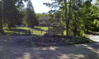 Boy on School Field Trip Dies After Tree Falls on Him at Michigan Nature Center