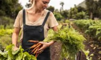 The Art and Discipline of the Harvest