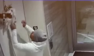 Man Waiting for Elevator Rescues Stuck Dog