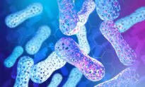Presidential Advisory Council Holds Public Meeting on Antimicrobial Resistance and the Microbiome (Day 2)