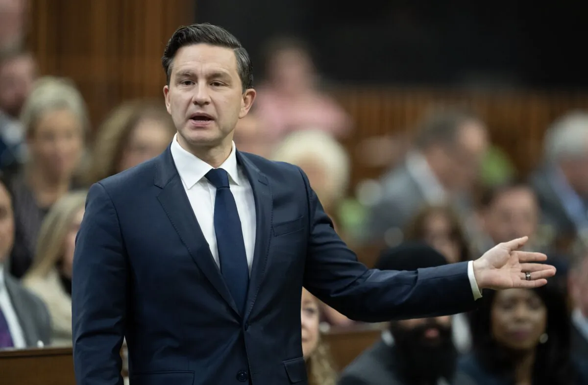 Conservative leader Pierre Poilievre rises during question period in the House of Commons on Sept. 26, 2024. (The Canadian Press/Adrian Wyld)