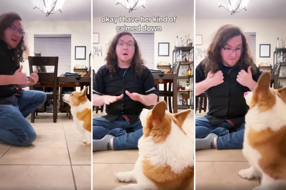 Derek Cassese and Eowyn the corgi who knows some sign language. (Courtesy of Derek Cassese)