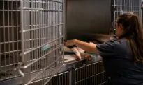 Texas Veterinarian Prevails Against Law Prohibiting Some Remote Care