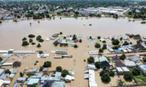 Dam Collapse in Nigeria Sweeps Deadly Reptiles Into Flooded Communities