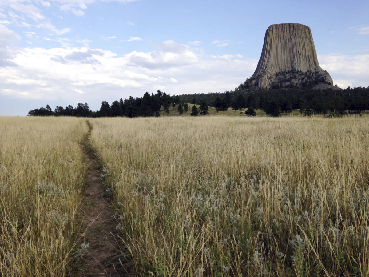 Devils Tower in northeastern Wyo., on July 29, 2017. (Susan Montoya Bryan/AP Photo)