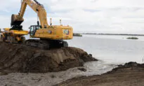 California Breaches Levee to Restore Habitat