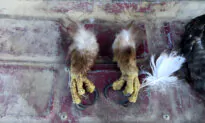 Man Who Killed Eagles on Native American Reservation Gets Nearly 4 Years in Prison