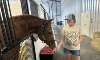 Evacuating With Pets: How to Be Ready for the Next Disaster Threat
