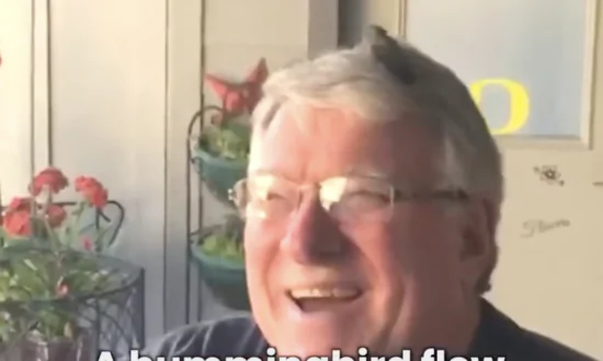 Baby Hummingbird Lands on Guy’s Head