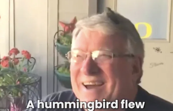 Baby Hummingbird Lands on Guy’s Head