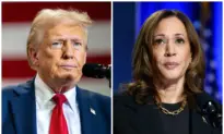 Harris, Trump Campaigns Lean Into Final 30 Days of Election