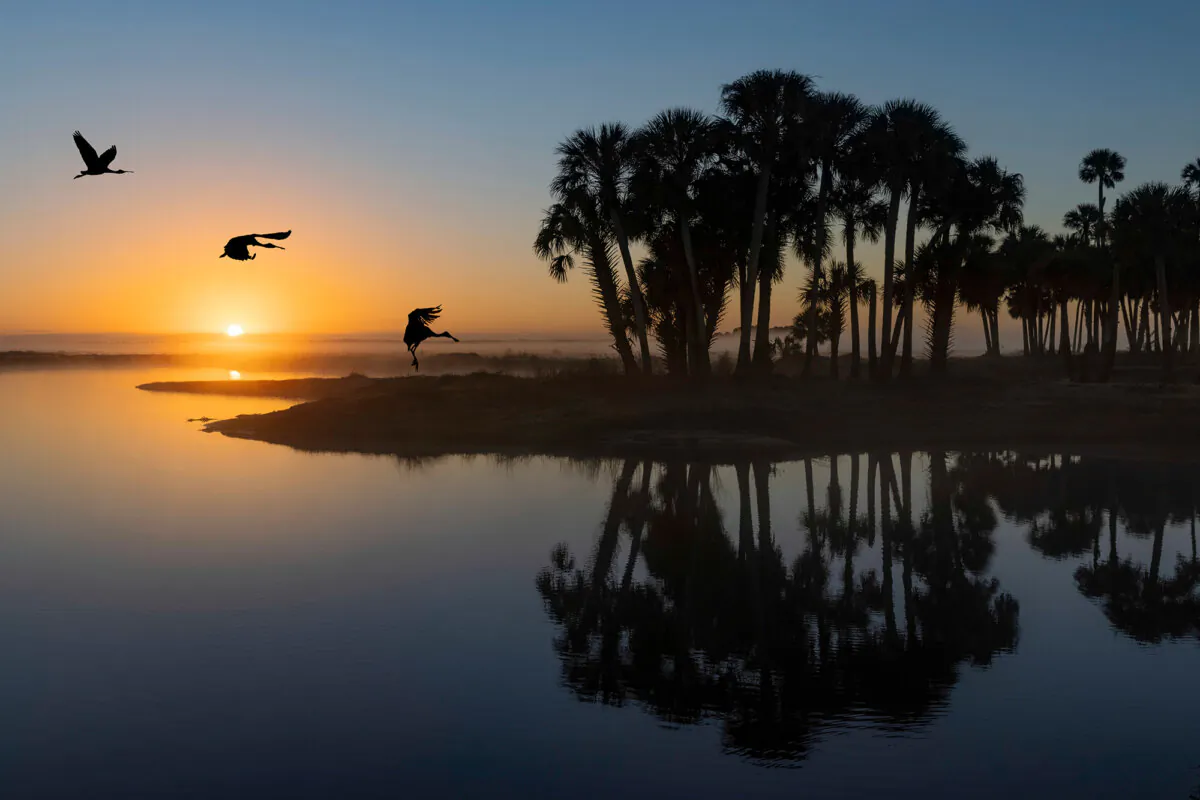 Sunrise over the Econlockhatchee River near Orlando, Fla. (Danita Delimont/Shutterstock)