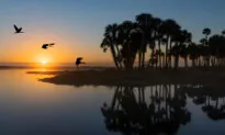 A Big Day in the City Beautiful: 24 Hours in Orlando