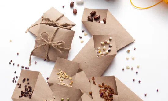 Saving Garden Seeds