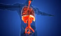 Protect Your Vital Organs:  Ancient Remedies and Harmful Habits