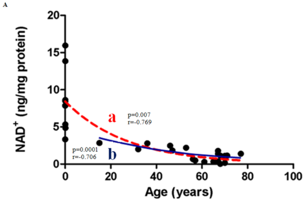 Figure 4. Correlation between NAD+ levels and Age in (A) Males (B) Females.(A) NAD+ concentrations decline with age in males. NAD+ levels decreased significantly in males aged between 0–77 years (line a; p = 0.0007; n = 27). Pearson's correlation coefficient for a normally distributed population, r = −0.769. The post-pubescent data for male subjects also showed a decline in NAD+ levels with age (line b; r = −0.706; p = 0.0001; n = 19). An exponential (first-order) least squares fit was used to generate the nonlinear trend lines (line a and b). (B) NAD+ concentrations decreased significantly with age (36–76) in post-pubescent females (p = 0.01; n = 22). Pearson's correlation coefficient for a normally distributed population,r = −0.537. An exponential (first-order) least squares fit was used to generate the nonlinear trend line.