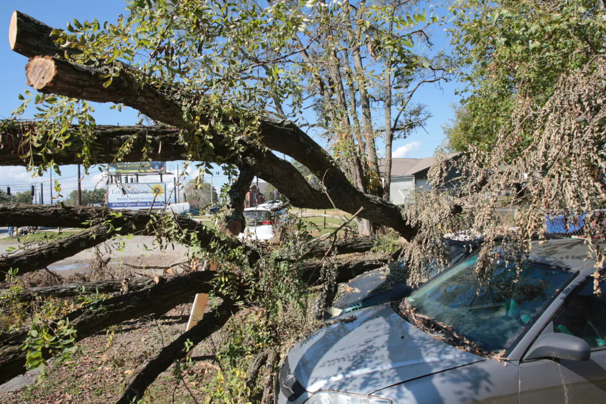 Hurricane Helene damage: A fallen tree damaged two vehicles parked near the Western Carolina Rescue Ministries buildings in Asheville, N.C., on Oct. 3, 2024. (Richard Moore/The Epoch Times)