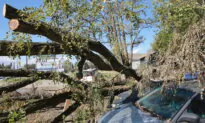 My Hurricane Helene Experience