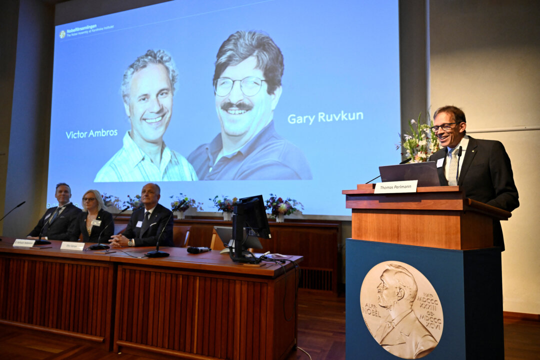 Nobel Prize for Medicine Goes to US Duo Who Discovered MicroRNA