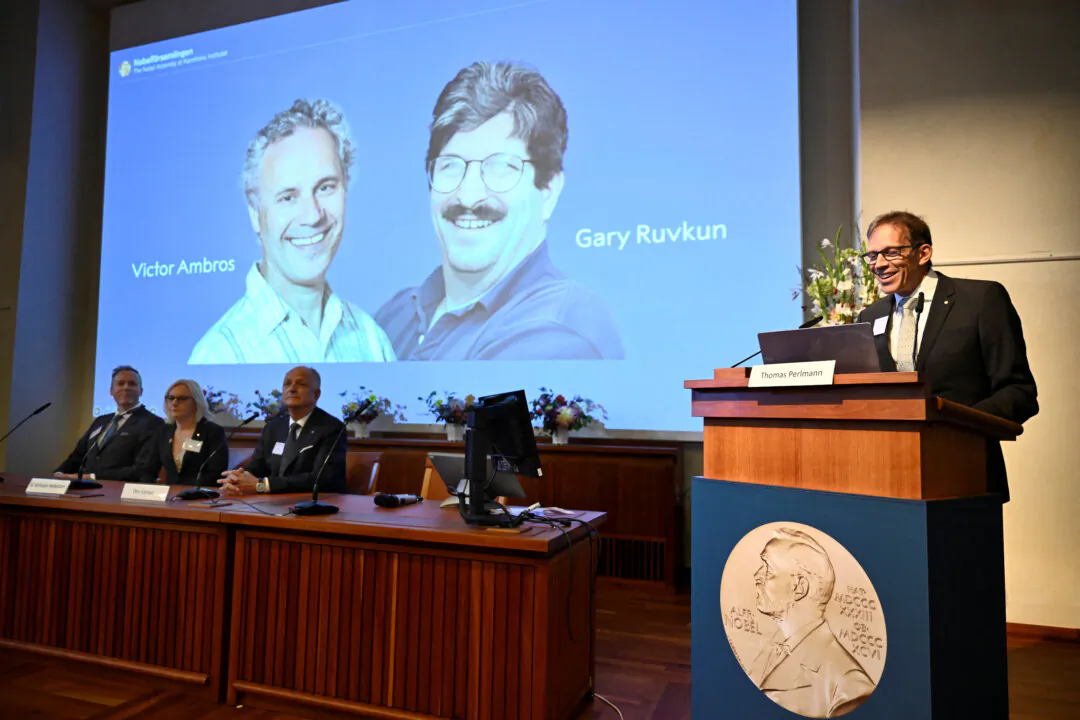 Thomas Perlmann, secretary of the Nobel Assembly and the Nobel Committee, speaks as Victor Ambros and Gary Ruvkun are awarded this year's Nobel Prize in Physiology or Medicine, in Stockholm, Sweden, on Oct. 7, 2024. (Christine Olsson/TT News Agency/via Reuters)