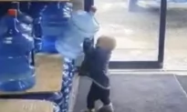 Little Boy Helped His Mom Unload Delivery Van