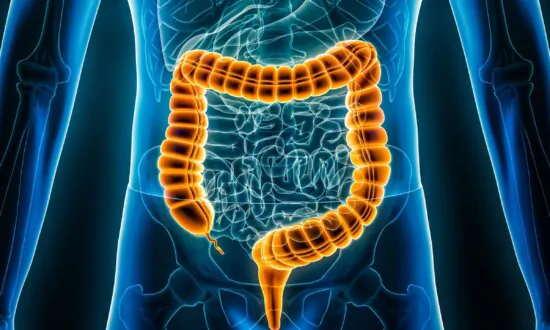 A Diet Low in Starch and Sugar Shows Promise in IBS Relief, Boosts Weight Loss