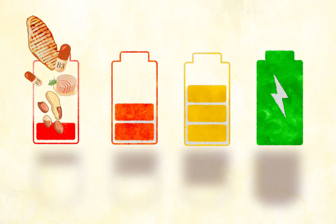 Niacin keeps your battery charged by converting food into energy the body can use. (Illustration by Fei Meng)