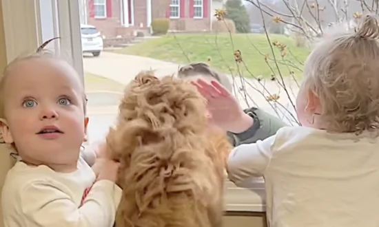Dog and Toddlers Wait for Brother at Window