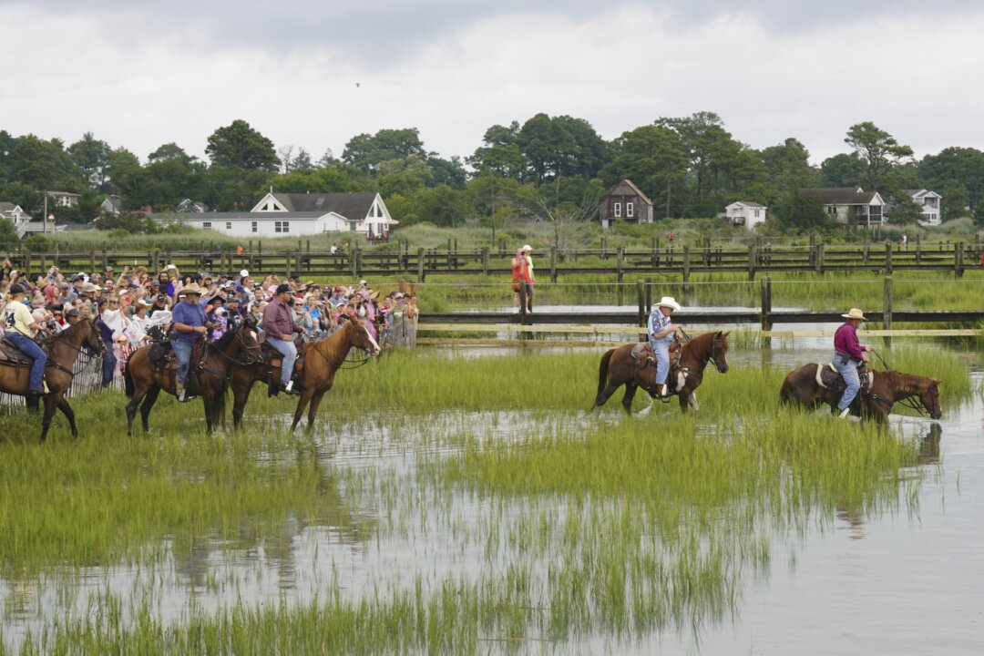 Mother-Daughter Duo Wins 3 Journalism Awards for Chincoteague Pony Feature