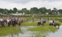 Mother-Daughter Duo Wins 3 Journalism Awards for Chincoteague Pony Feature