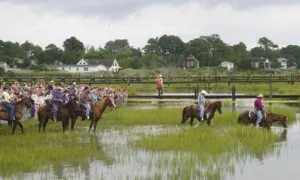 Mother-Daughter Duo Wins 3 Journalism Awards for Chincoteague Pony Feature