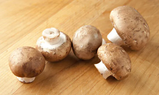 It’s Time to Ease Back Into Comfort Food Season