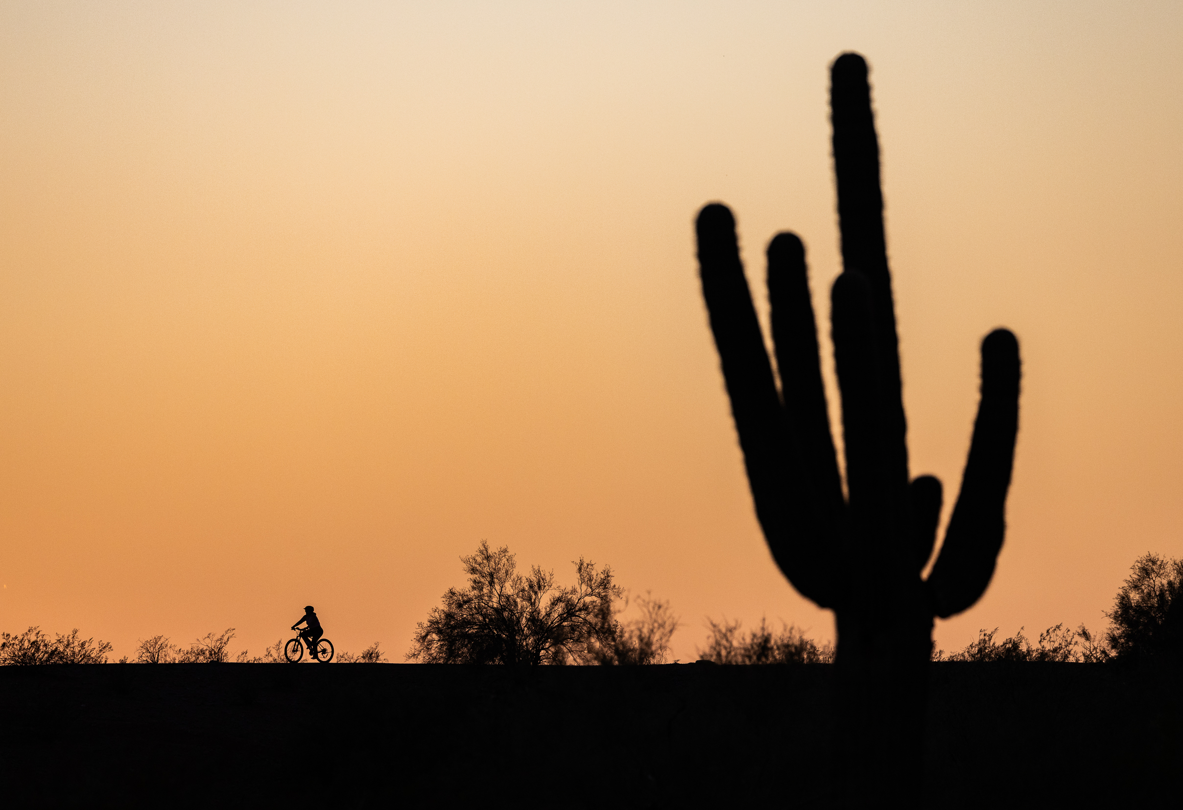 Arizona