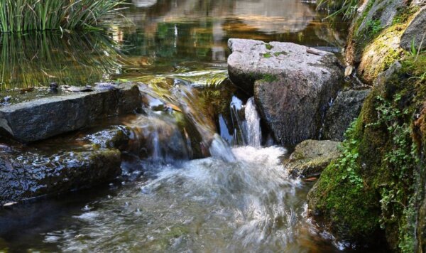 Epoch Times Photo