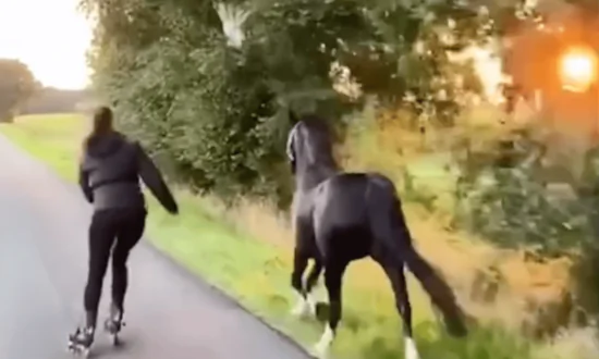 German Woman Skates With Her Horse Into the Sunset