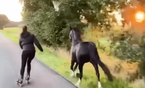 German Woman Skates With Her Horse Into the Sunset