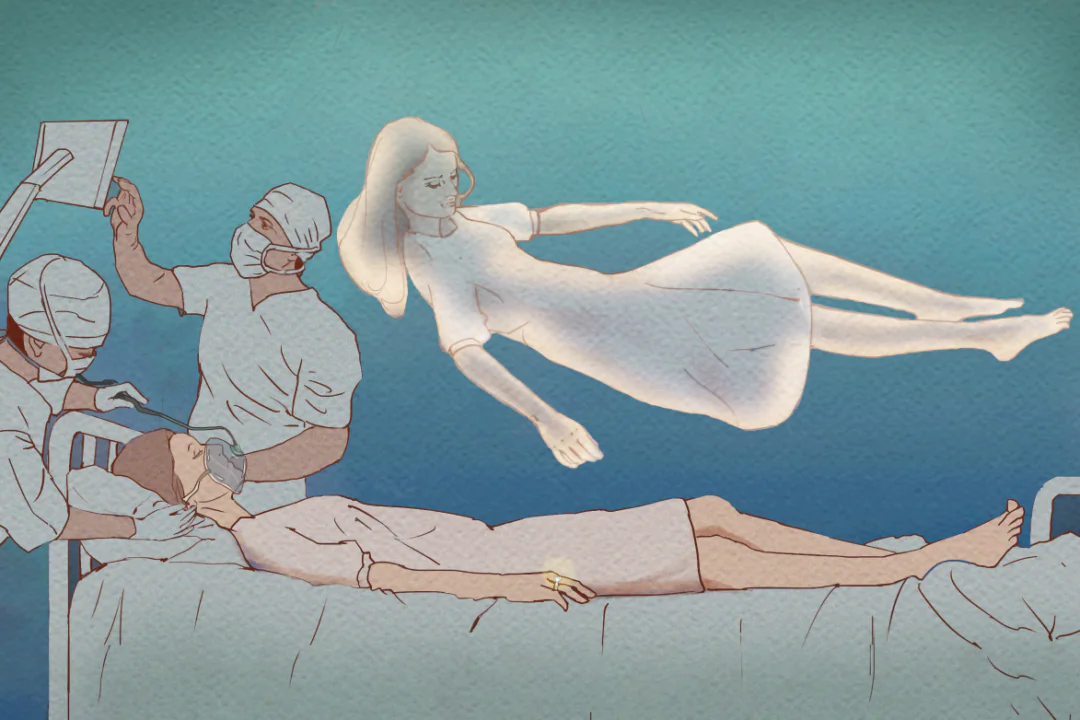 (Illustration by Fei Meng)