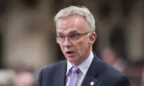 Liberal MP Calls for Freeland to Run for Party Leadership