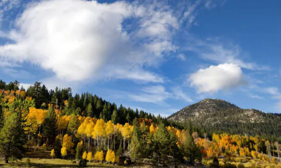 California’s Fall Color: There’s Still Time for Leaf-Peeping in the Golden State
