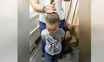 Dad Helps Daughter Create Hair Bun