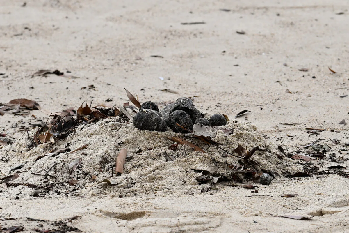 Unknown debris is seen washed up on Coogee Beach in Sydney, Australia, on Oct. 16, 2024. (AAP Image/Steven Markham)