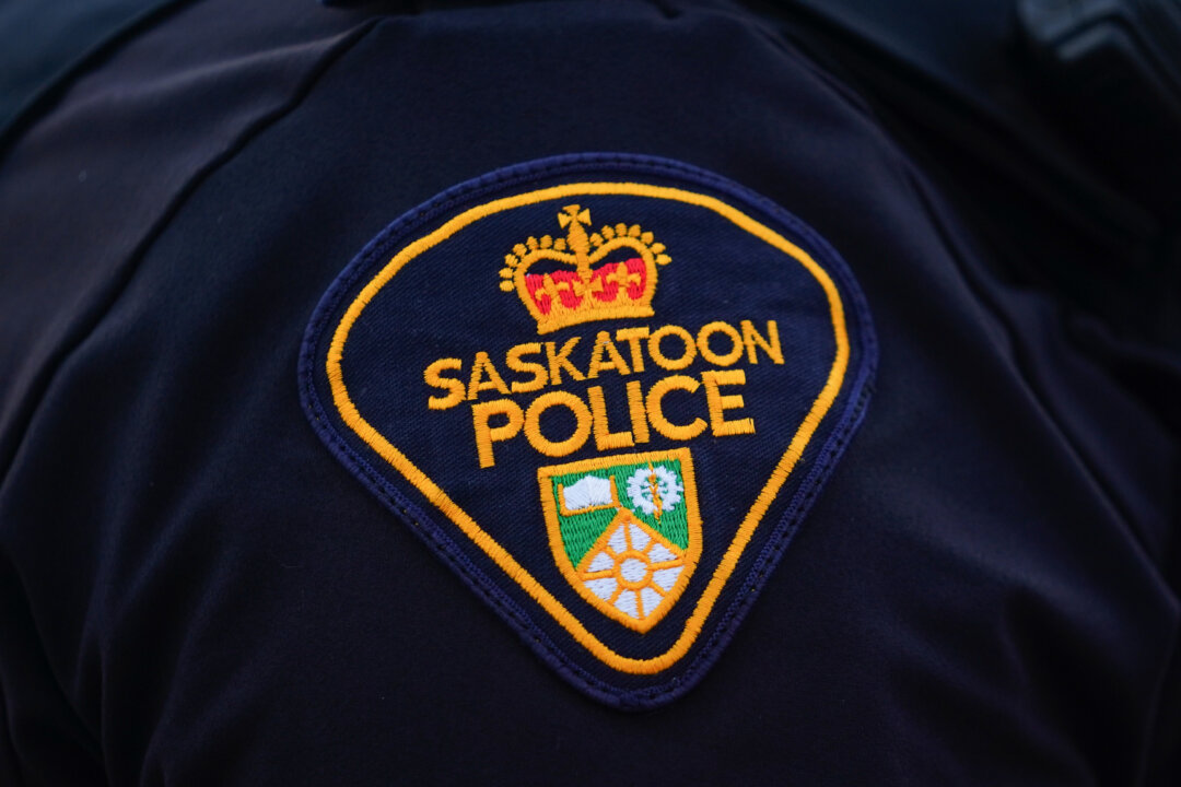 Saskatoon Reports Surge in Bear Spray Incidents