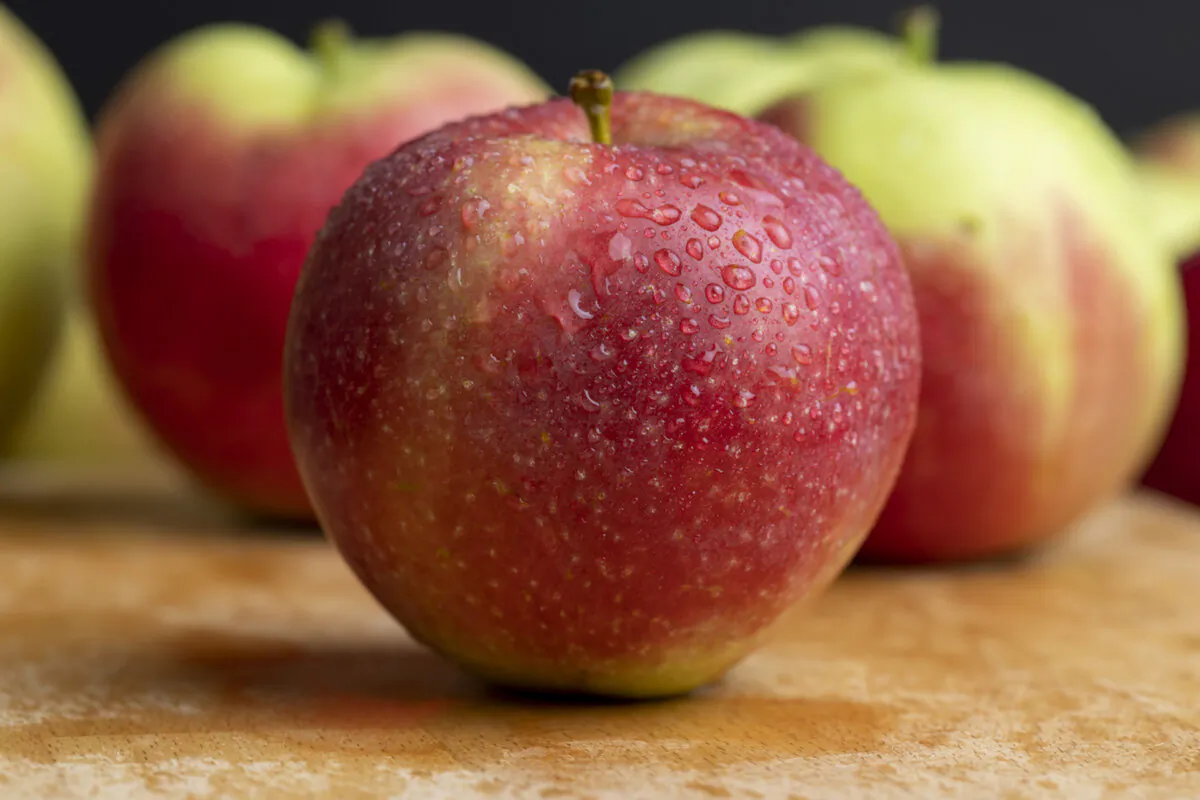 This time of year, grocery store produce sections are packed with many different varieties of local apples. (Dreamstime/TNS)
