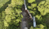 Train Hits and Kills 2 Wild Elephants in Sri Lanka as 2 of Its Fuel-Carrying Tankers Derail