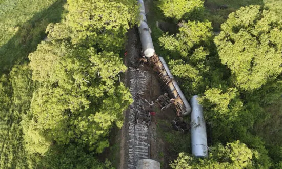 Train Hits and Kills 2 Wild Elephants in Sri Lanka as 2 of Its Fuel-Carrying Tankers Derail