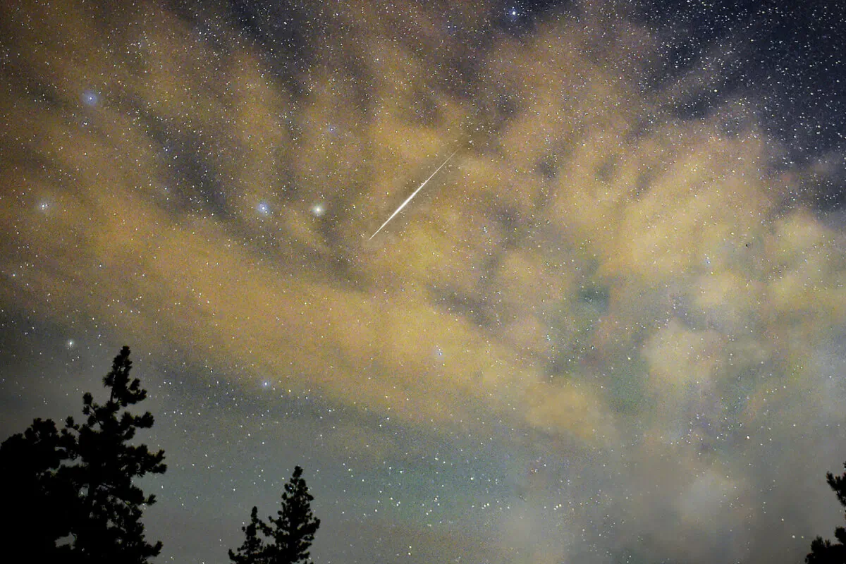 A meteor streaks across the sky above desert pine trees in the Spring Mountains National Recreation Area, Nevada. (Ethan Miller/Getty Images)