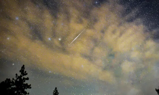 Crisscrossing Meteor Showers Will Peak in November, Creating a Cosmic Circus—Here’s the Lowdown