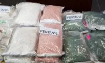 Number of Crime Groups Involved in Fentanyl Up 42 Percent Since 2019: Intel Report