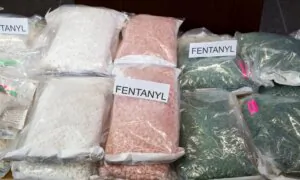 Senate Judiciary Hearing on Fentanyl