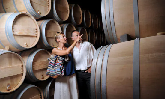 The Best Time to Visit Wine Country